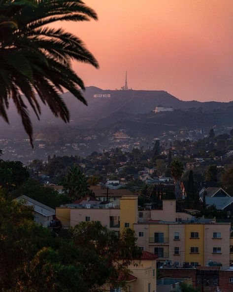 Secret Los Angeles on Instagram: “Majestic skies over the hills 😍✨ #mysecretla 📸: @dannydemarcos . . . #losangeles #hollywood #la #losangelesphotography” Los Angeles Aesthetic, Manifest Success, Los Angeles Photography, Sunset Blvd, Vintage Los Angeles, Over The Hill, City Of Angels, California Dreamin', California Dreaming