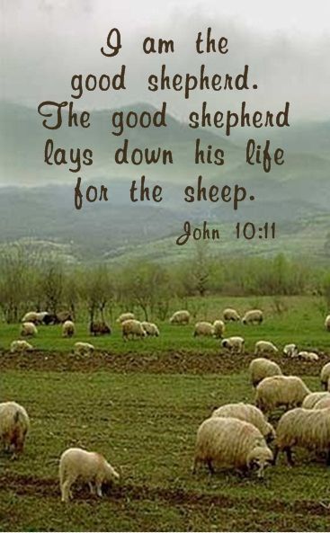 JOHN 10:11 Shepherds Cottage, John 10 11, I Am The Good Shepherd, John 10, Lost Sheep, Good Shepherd, God's Promises, Ayat Alkitab, The Good Shepherd