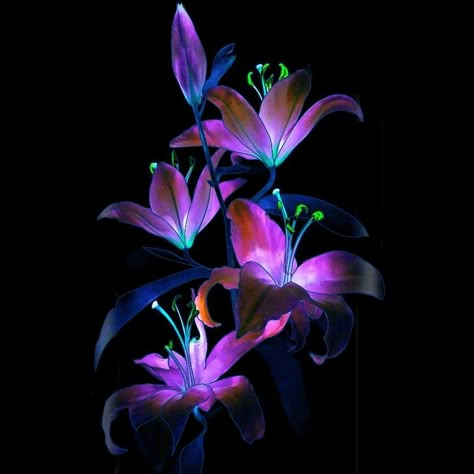 Uv Flower Photography, Fluorescent Flowers, Neon Flowers Aesthetic, Ultraviolet Flowers, Glowing Plants Art, Avatar Flowers, Glowing Plants, Purple Flowers Aesthetic, Glowing Flowers