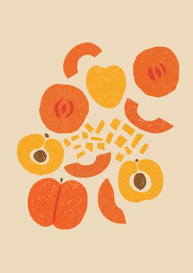 Visuell Identitet, 심플한 그림, Fruit Illustration, Illustration Food, Affinity Designer, Arte Inspo, Art And Illustration, Pattern Illustration, Food Illustrations