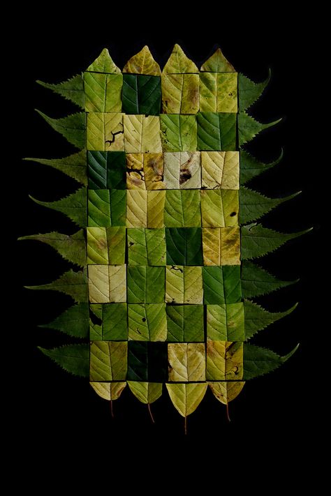 Art About Nature, Using Leaves In Art, Leaves Collage, Art With Leaves, Leaf Portrait, Preserved Leaf Art, Takken Decor, Leaf Collage, Leaf Photography