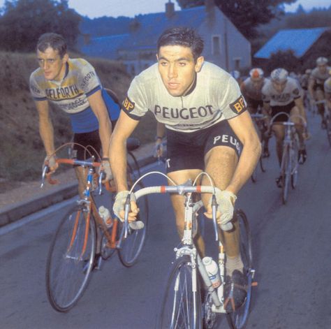 Eddy Merckx (1967) Eddy Merckx Bike, Road Bike Photography, Road Bicycle Racing, Cycling Inspiration, Bicycle Track, Vintage Cycling, Tandem Bike, Vintage Cycles, Bike Photography