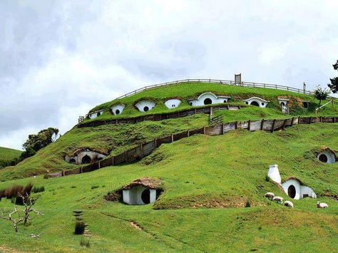 A Real-Life Hobbit Town in Matamata, New Zealand Hobbit Town, Earth Sheltered Homes, Casa Hobbit, Earth Sheltered, Movie Locations, Hobbit House, Filming Locations, Bora Bora, Machu Picchu