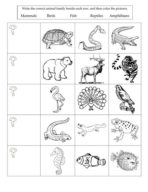 Animal Classification Worksheet, Classification Of Animals, Classifying Animals, Carl Linnaeus, Back To School Worksheets, Animal Classification, Paper Crafts Magazine, Animal Worksheets, English Grammar Worksheets