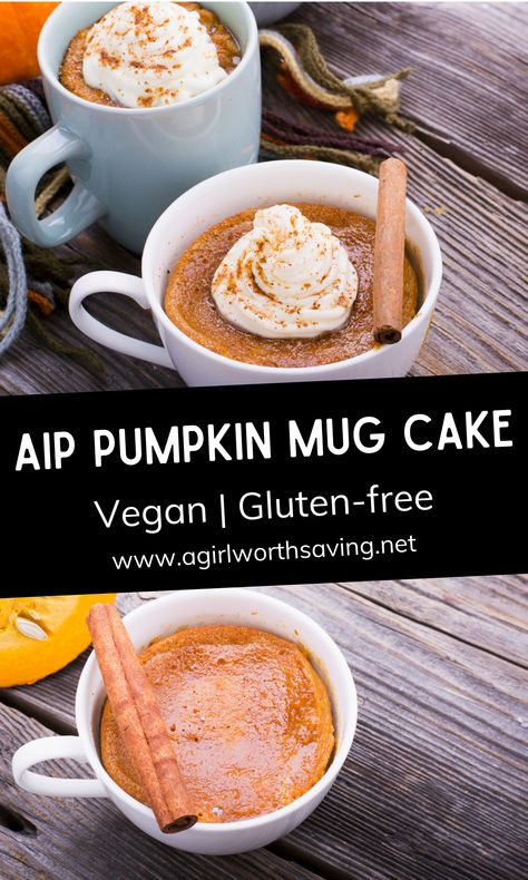 Tigernut Recipes, Aip Cake, Aip Pumpkin, Pumpkin Mug Cake, Autoimmune Diet Recipes, Aip Baking, Aip Diet Recipes, Aip Breakfast, Dairy Free Brownies