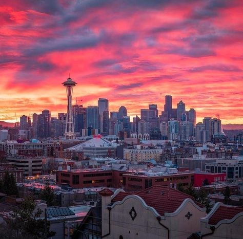 Seattle - CityPorn Seattle City Skyline, Pnw Aesthetic, Space Needle Seattle, Pretty Trees, Seattle City, Puget Sound, Dream City, City Photography, United States Travel