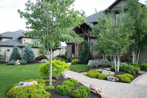 Boxwood Landscaping, Front Landscape, Modern Front Yard, Small Front Yard Landscaping, Front Yard Landscape, Farmhouse Landscaping, Front Yard Design, Front Yard Ideas, Front Landscaping