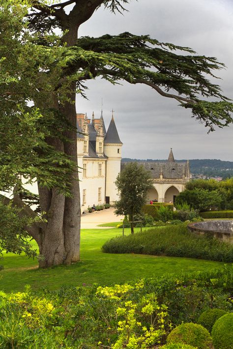 Chateau Amboise Amboise France, Old Castle, French Castles, Historic Houses, Chateau France, European Vacation, Travel Spots, Loire Valley, Beautiful Castles