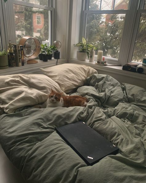 Green Bed Astethic, Apartment Room Ideas Minimalist, Comfy Vibes Bedroom, Bedding Astetic, Comfy Bed Astethic, Cool Bed Pillows, Comfy Green Bedroom, Cozy Bed Green, Cozy Home With Cat