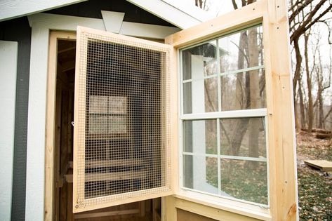 Cutest Coops, LLC. — Key Coop Features Built In Hardware, Fancy Chicken Coop, Cute Chicken Coops, Easy Chicken Coop, Chicken Owner, Fancy Chickens, Plywood Siding, Best Chicken Coop, Chicken Health