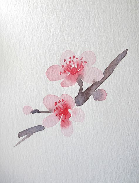 Watercolor flowers on Behance 수채화 그림, Japanese Flowers, Watercolor Inspiration, E Card, Chinese Painting, Watercolor Design, Watercolor Cards, Cherry Blossoms, 그림 그리기