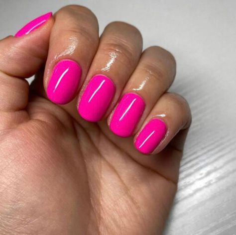 Nails Dnd, Dnd Gel Nail Polish, Dnd Nail Polish, Neon Pink Nails, Summer Gel Nails, Dnd Gel Polish, Pink Gel Nails, Daisy Nails, Gel Polish Colors