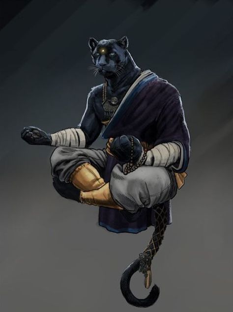 Tabaxi monk, D&D | Black Geek Society & Nerds of Color Tabaxi Monk, Heroic Fantasy, Charcoal Drawings, High Fantasy, 판타지 아트, Fantasy Inspiration, Dnd Characters, Fantasy Artwork, Character Portraits