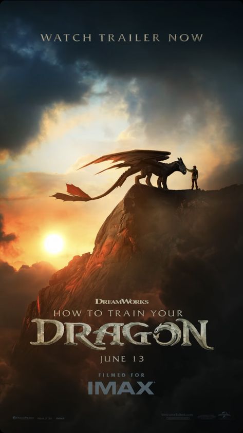 Httyd Poster, Night Fury Dragon, Httyd Art, Dragon Movies, Dreamworks Dragons, Saturday Night Fever, Httyd Dragons, Bill Skarsgard, Dragon Trainer