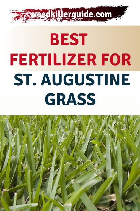 These are the top St. Augustine grass fertilizers on the market. If you are looking for grass care tips and tricks, or you are on the hunt for the best fertilizer available, Weed Killer Guide has the answers to your questions. Good fertilizers are hard to find, so check out this post to learn what you should be using. #staugustinegrassfertilizer #grassfertilizer #fertilizerforstaugustinegrass Grass Fertilizer, St Augustine Grass, Grass Types, Lawn Food, Horse Manure, Types Of Grass, Lush Lawn, Grass Type, Soil Testing