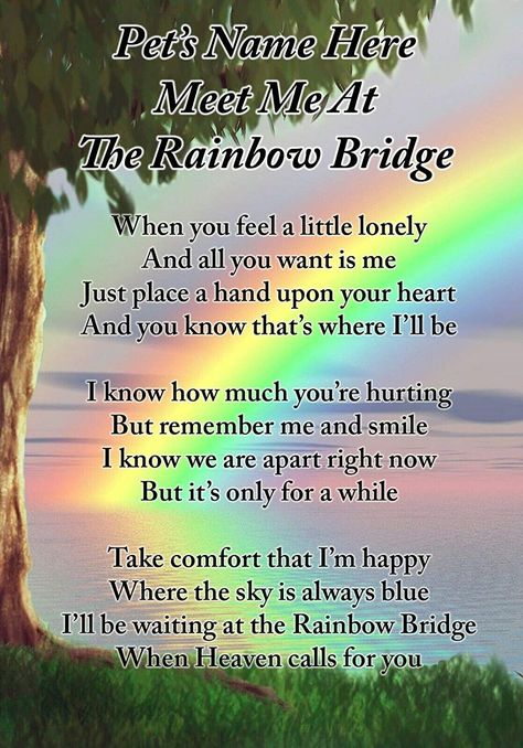 Lisa s Gifts Personalised Meet Me at The Rainbow Bridge Dog Cat Pet Memorial Graveside Funeral Poem Keepsake Card Includes Free Ground Stake F397 Losing A Dog Quotes, Losing A Pet Quotes, Dog Heaven Quotes, Pet Poems, Dog Poems, Dog Quotes Love, Heaven Quotes, Dog Heaven, Pet Remembrance