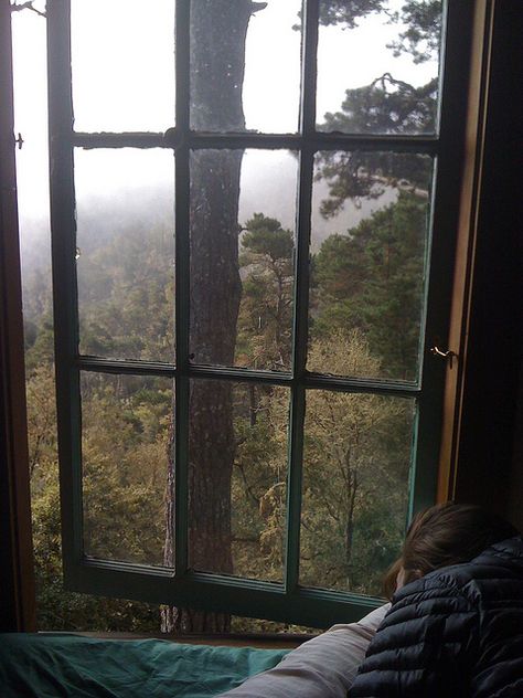 This would be a perfect and cozy escape for me right now A Well Traveled Woman, Carlo Scarpa, Foto Tips, Lodge Decor, Window View, Closer To Nature, Through The Window, Cabins In The Woods, The Forest