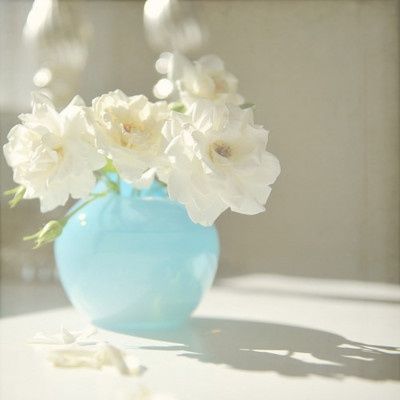 lovely pop of blue color. Aqua Inspiration, Turquoise Vase, Flowers Blue, Blue Vase, Tiffany Blue, Summer Flowers, Love Flowers, Flowers Photography, Pretty Flowers