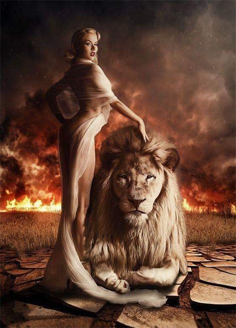 Animal Photoshoot, Lion Photography, Lion And Lioness, Lion Love, Lion Art, Lion Of Judah, Lion Tattoo, A Lion, Beautiful Fantasy Art