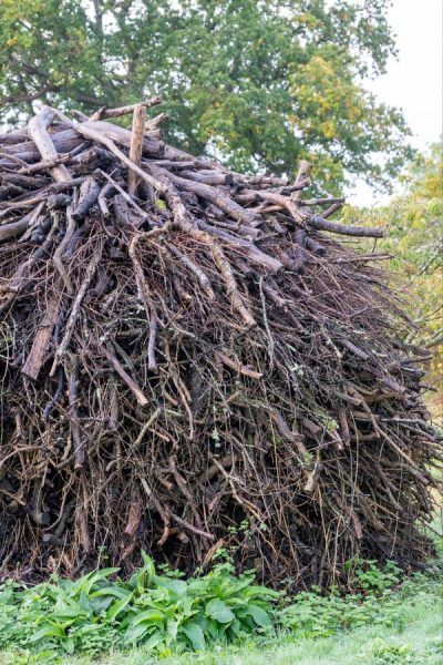 Don't burn bonfires - stack up wood clippings to make an eco-friendly habitat pile #middlesizedgarden Landscaping With Logs, Biodiverse Garden, Messy Garden, Eco Farm, Stacking Wood, Mushroom Compost, Great Dixter, Garden Wildlife, Habitat Garden