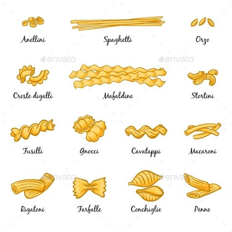 Macaroni, spaghetti and others type of italian pasta. Vector pictures isolate on white. Italian cuisine food, traditional type spaghetti illustration Spaghetti Illustration, Pasta Pictures, Macaroni Spaghetti, Food Traditional, Pasta Penne, Pasta Types, Food Vocabulary, Pasta Italiana, Menu Designs