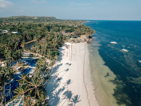 17 Epic Things To Do In Panglao Island - Bohol 1 Panglao Bohol, Panglao Island, Alona Beach, Kawasan Falls, Travelling Thailand, Bohol Philippines, Cliff Diving, Twin Falls, Bohol