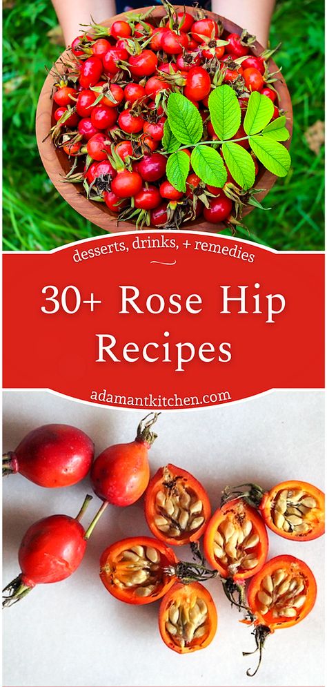 Rose Hip Recipes, Rose Hips Benefits, Rosehip Recipes, Healing Tea Recipes, Gooseberry Recipes, Rosehip Tea, Berry Recipes, Recipes For Desserts, Fall Recipes Healthy