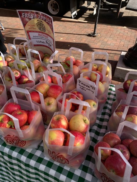 apple at farmers market apple picking apple orchard pumpkin patch pumpkin Farmer’s Market Aesthetic, Fall Farmers Market Aesthetic, Fall Apple Picking Aesthetic, Fall Time Aesthetic, Apples Aesthetic, Apple Picking Aesthetic, Fall Farmers Market, Fall Apple Picking, Apple Picking Fall