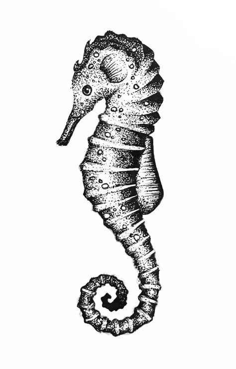 Pointillism Animals, Pen Dot Art, Nautical Compass Tattoo, Seahorse Drawing, Stippling Drawing, Mystical Tattoos, Dotted Drawings, Ink Doodles, Dot Tattoos