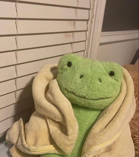 Little friends aesthetic mood stuffies cute cozy love cuddles Stuffed Frog, Aesthetic Frog, Green Frog, I Hope, For Free, Stock Photos, Wallpapers, Green