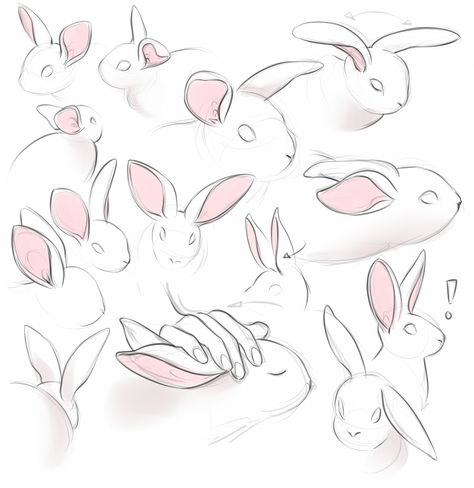 How To Draw Animal Ears, Drawing Ears, Ears Art, How To Draw Ears, Rabbit Drawing, Ear Art, White Rabbits, 강아지 그림, Fantasy Drawings