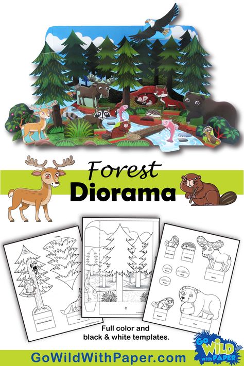 Animal Habitat Art And Craft, Woodland Habitat Diorama, Deciduous Forest Diorama, Woodland Forest Diorama, Coniferous Forest Biome Project, Fox Diorama Habitat, Diorama Animal Habitat, Forest Habitat Activities, Animal Diorama Habitats