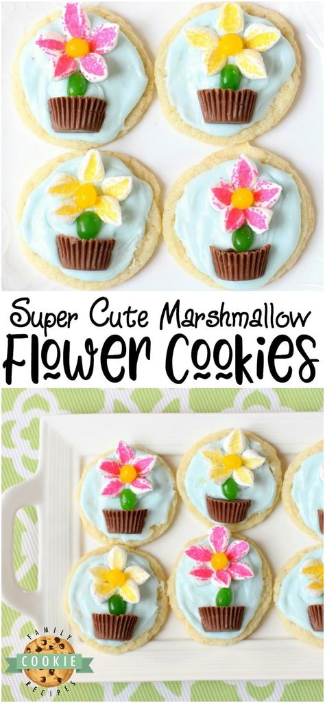 Marshmallow Flower Cookies are easy to make and perfect for Spring baking! Everyone loves these cute treats topped with marshmallow flowers with a jelly bean stem, in a chocolate pot! #marshmallow #cookies #flower #candy #Spring #summer #recipe from FAMILY COOKIE RECIPES Spring Flower Cookies, Cute Treats, Marshmallow Flowers, Flower Desserts, Flower Sugar Cookies, Pot Cookies, Flower Cookie, Spring Baking, Cake Flower