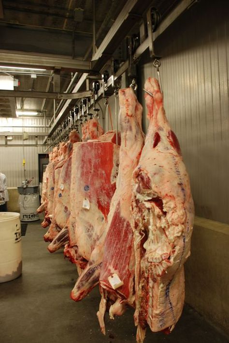 Planning and managing direct marketing opportunities for beef - Beef Meat Factory, One Pound Of Fat, Meat Butcher, Butcher Box, Meat Industry, Meat Processing, Tesla Cybertruck, Meat Markets, Butcher Shop