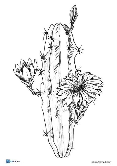 Cactus And Flowers Drawing, Cactus Outline Free Printable, Cactus Desert Drawing, Cactus Tattoo Stencil, Desert Flower Tattoo, Cactus Flower Drawing, Cactus Flower Tattoo, Cactus Coloring Page, Desert Drawing