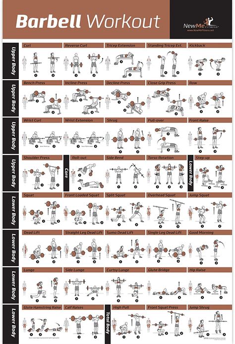 Weight Lifting Chart, Fat Loss Gym Workout, Body Squats, Strength Training Routine, Barbell Workout, Gym Weights, Workout Posters, Body Training, Weight Training Workouts