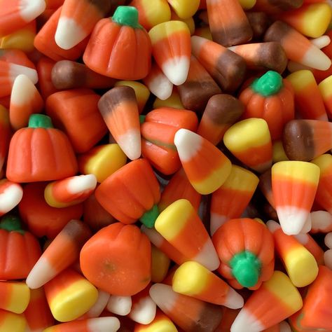 Fall Candy Aesthetic, Sweet Corn Aesthetic, Halloween Sweets Aesthetic, Halloween Candy Aesthetic, Candy Corn Aesthetic, Dulces Aesthetic, Halloween Hangout, Regretevator Oc, Drawtober 2024