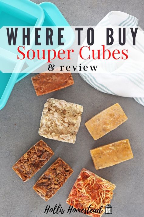 where to buy souper cubes Souper Cubes Ideas, Souper Cube Recipes, Souper Cubes, Freeze Leftovers, Tex Mex Chicken, Freezing Leftovers, Frozen Juice, Leftovers Soup, Chicken Tortellini