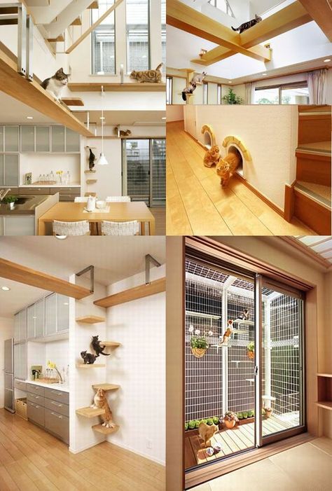 This is an Interesting design for a house if I had a cat as a pet. Cat House Diy, Cat Playground, Casa Vintage, Cat Shelves, Casa Container, Animal Room, Cat Condo, Cat Room, Cat Diy