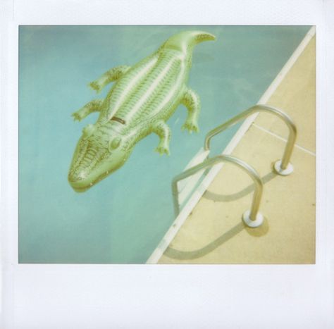 Retro Polaroid, Surreal Collage, Floating In Water, Summertime Fun, Trailer Park, Ex Machina, Foo Fighters, Cool Pools, Jena