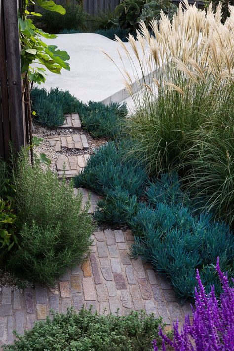 Mediterranean Garden Design, Urban Garden Design, Seaside Garden, Dry Garden, Australian Garden, The Residents, Coastal Gardens, Have Inspiration, Low Maintenance Garden