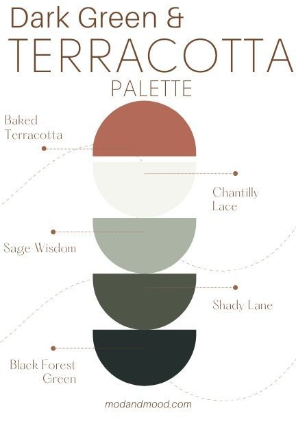 Dark Green and Terracotta palette features 5 half circles of different paint colors stacked on top of each other. From top to bottom colors are: Baked Terracotta, Chantilly Lace, Sage Wisdom, Shady lane, and Black forest green. Green Essence Benjamin Moore, Fern Wood Green Benjamin Moore, What Goes With Dark Green, Midnight Green Paint, Benjamin Moore Deep Sea Green, Rock Wood Dark Green Sherwin Williams, Dark Green And Sage Bedroom, Paint Colors That Compliment Green, Dark Green Paint Scheme