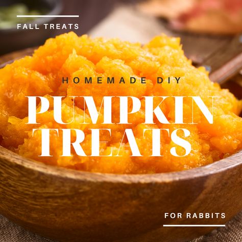 Diy Rabbit Treats, Rabbit Treats Homemade, Bunny Treats Diy, How To Make Rabbit Treats, Rabbit Treats Recipe, Bunny Treats Homemade, Homemade Rabbit Treats Recipes, Puppy Treats Homemade Easy Pumpkin, Homemade Treats For Rabbits