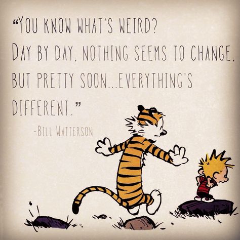 Greatest Calvin And Hobbes Quotes. QuotesGram by @quotesgram Calvin Und Hobbes, Calvin And Hobbes Quotes, Calvin And Hobbes Comics, Fav Books, Bd Comics, Baymax, Grad Cap, A Tiger, Trendy Quotes