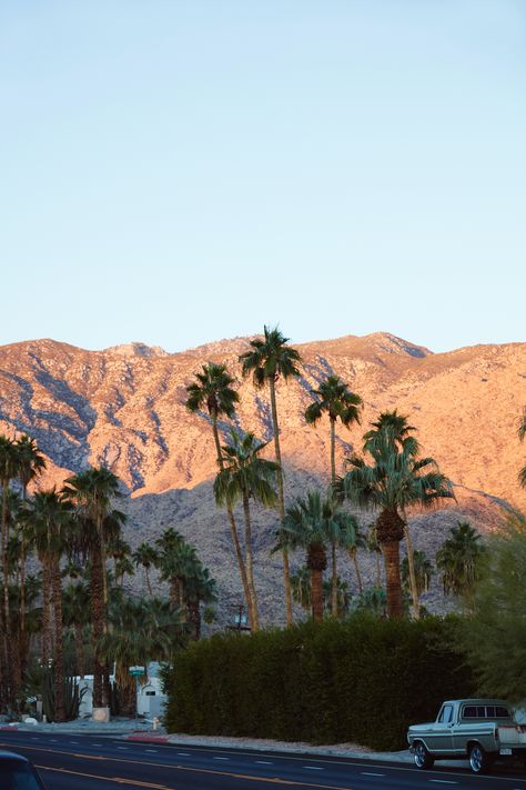 La Palm Trees Aesthetic, Desert California Aesthetic, Palm Springs Pictures, Southern California Mountains, Palm Springs California Aesthetic, Los Angeles Mountains, Palm Desert Aesthetic, Summer California Aesthetic, Ojai California Aesthetic