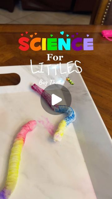 Water Science Experiments Preschool, Tissue Paper Worms, Cool Science Experiments For Preschoolers, Science Eyfs Activities, Science Sensory For Toddlers, Simple Craft For Preschoolers, Grade 1 Science Experiments, Eyfs Science Activities, Steam For Preschoolers