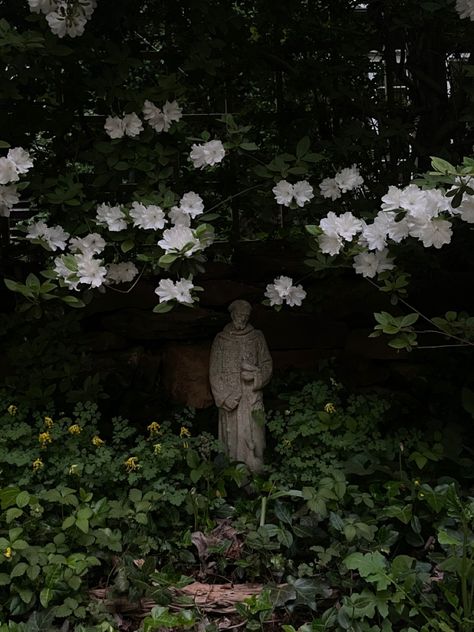 Dark Green Garden, Victorian Garden Aesthetic Dark, Scary Garden Aesthetic, Scary Garden, Poison Garden Aesthetic, Beautiful Graveyards Gardens, Garden Dark Academia, Dark Cottage Core Garden, Haunted Garden Aesthetic