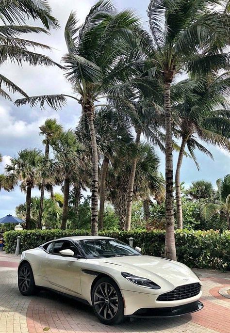 Aston Martin Db11, Luxurious Cars, Lux Cars, Dodge Challenger Srt, Classy Cars, Super Luxury Cars, Fancy Cars, Best Luxury Cars, Pretty Cars