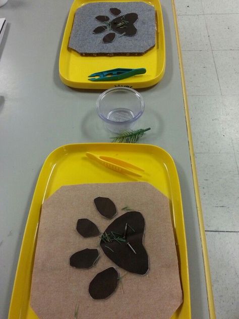 Vet/pet clinic- boards are felt and vinyl, get the "thorns" out of the paw. Use misc. things such nails or pine needles as thorns. Great fine motor skills with tweezers Vets Eyfs, Pet Study, Pet Theme, Pets Preschool Theme, Community Helpers Theme, Community Helpers Preschool, Aesop's Fables, Dramatic Play Preschool, Dramatic Play Area