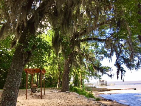 From scenic parks to award-winning restaurants, this Alabama beach town has it all! Daphne Alabama, Top Vacation Destinations, Alabama Beaches, Spring Getaway, Beach Towns, Beautiful Town, Park Pictures, Scenic Byway, Orange Beach